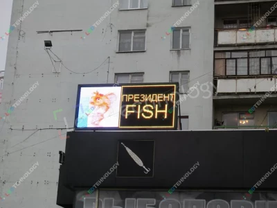 Светодиодные вывески для магазина «Fish» в Екатеринбурге, фото 2