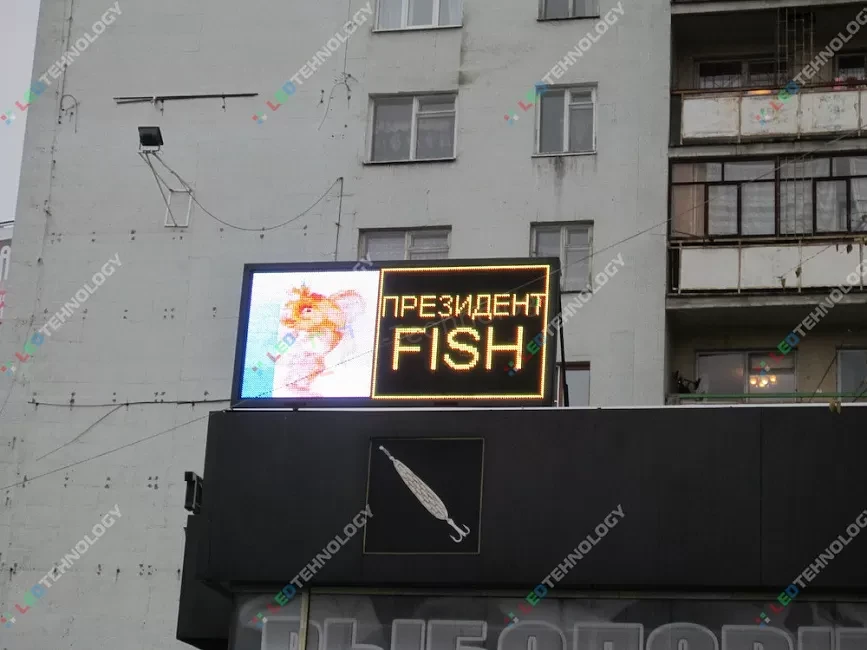 Светодиодные вывески для магазина «Fish» в Екатеринбурге, фото 2