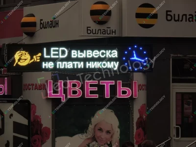 Светодиодная вывеска для цветочного магазина. Новосибирск, фото 2