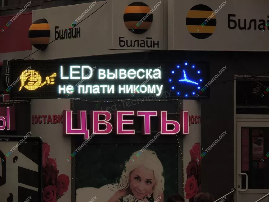 Светодиодная вывеска для цветочного магазина. Новосибирск, фото 2