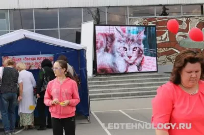 LED экран для Дворца зрелищ и спорта, г. Барнаул, фото 4