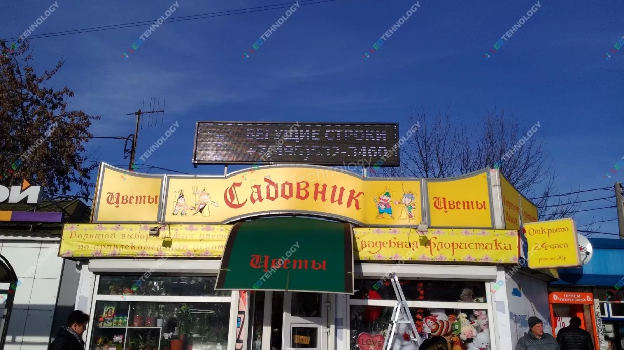 Монохромная светодиодная строка для магазина «Садовник». Москва, фото 2