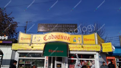Монохромная светодиодная строка для магазина «Садовник». Москва, фото 2
