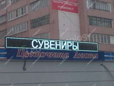 Бегущая строка для магазина цветов «Анюта». Челябинск, фото 2