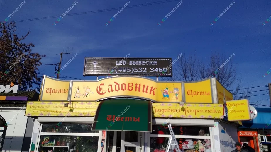 Монохромная светодиодная строка для магазина «Садовник». Москва, фото 3