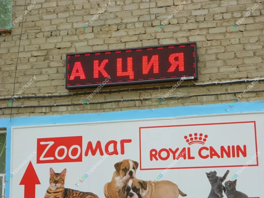 Красная бегущая строка для рекламы зоомагазина в Перми, фото 3